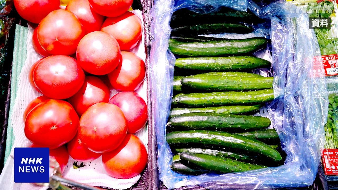 8月「夏野菜」中心に高値見通し 高温や少雨が影響 農林水産省