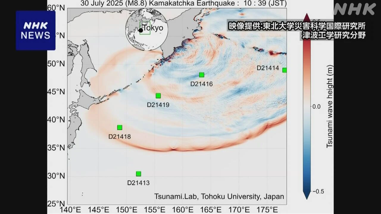 専門家「遠地地震 最大波遅れ津波長く続くため最新情報を」