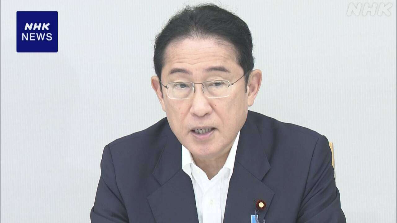 災害時に船舶での治療体制整備へ 首相が計画案とりまとめ指示