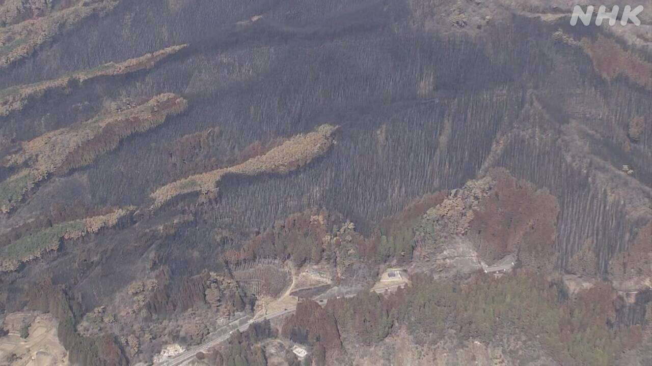 大船渡 山林火災 ”土石流 発生しやすく監視 対策の検討を”