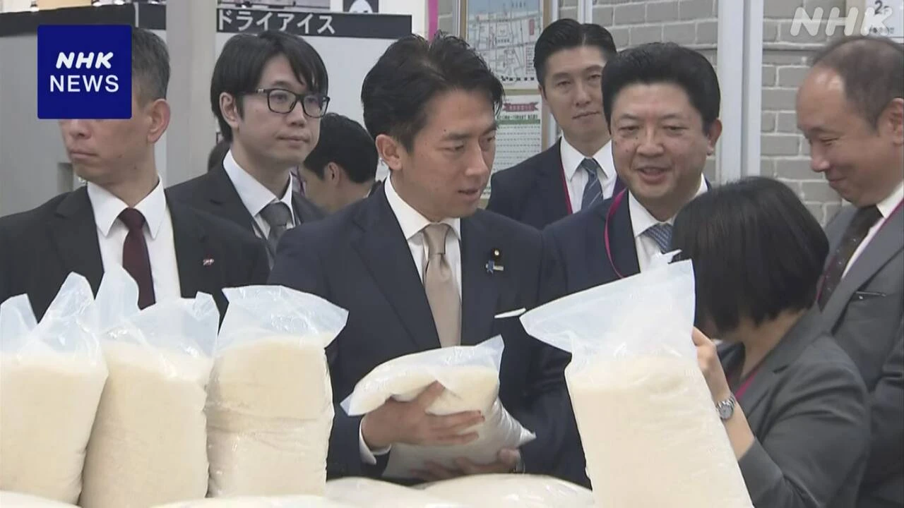 小泉農相 コメ流通のあり方見直し “経路透明化し改善点検討”