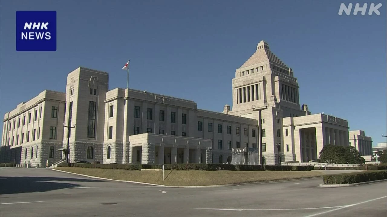 年金改革法案の修正案 30日の衆院通過に向けて日程調整