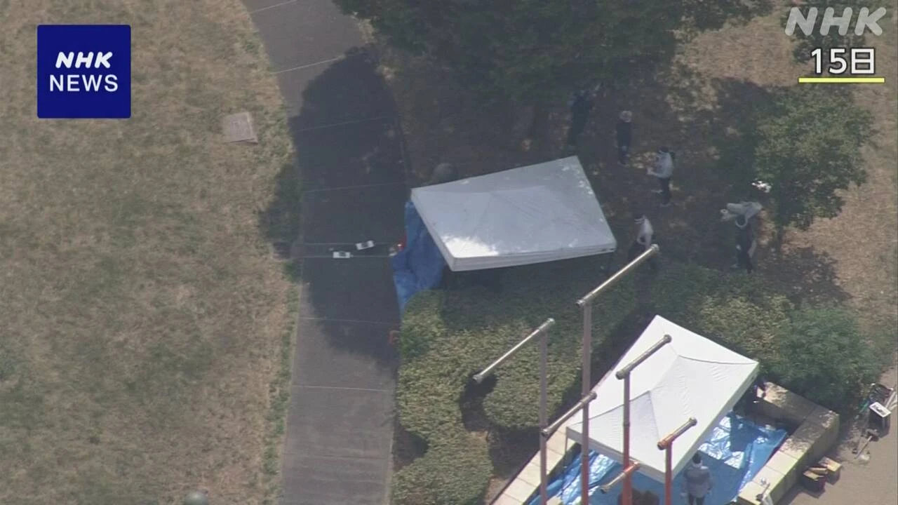 大阪 公園に赤ちゃんの遺体を遺棄した疑い 23歳の母親を逮捕