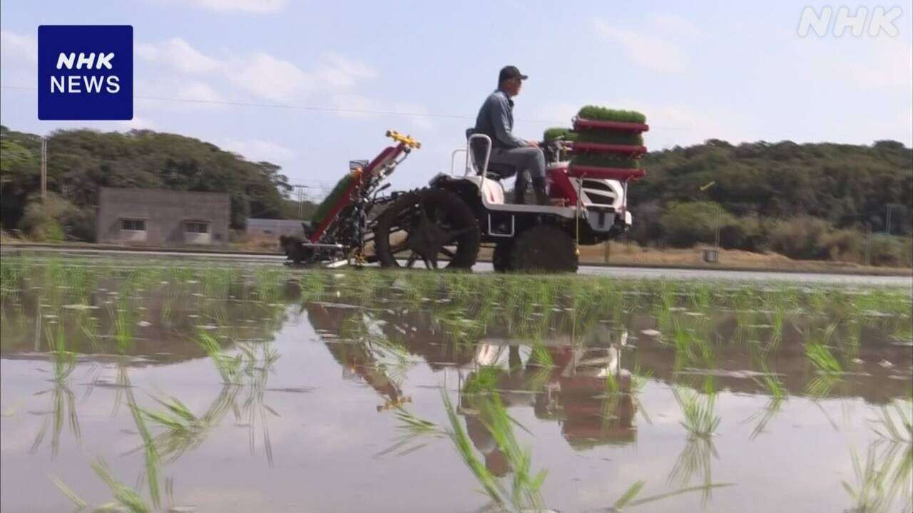 鹿児島 種子島で早場米の田植え始まる 作付面積増やした農家も