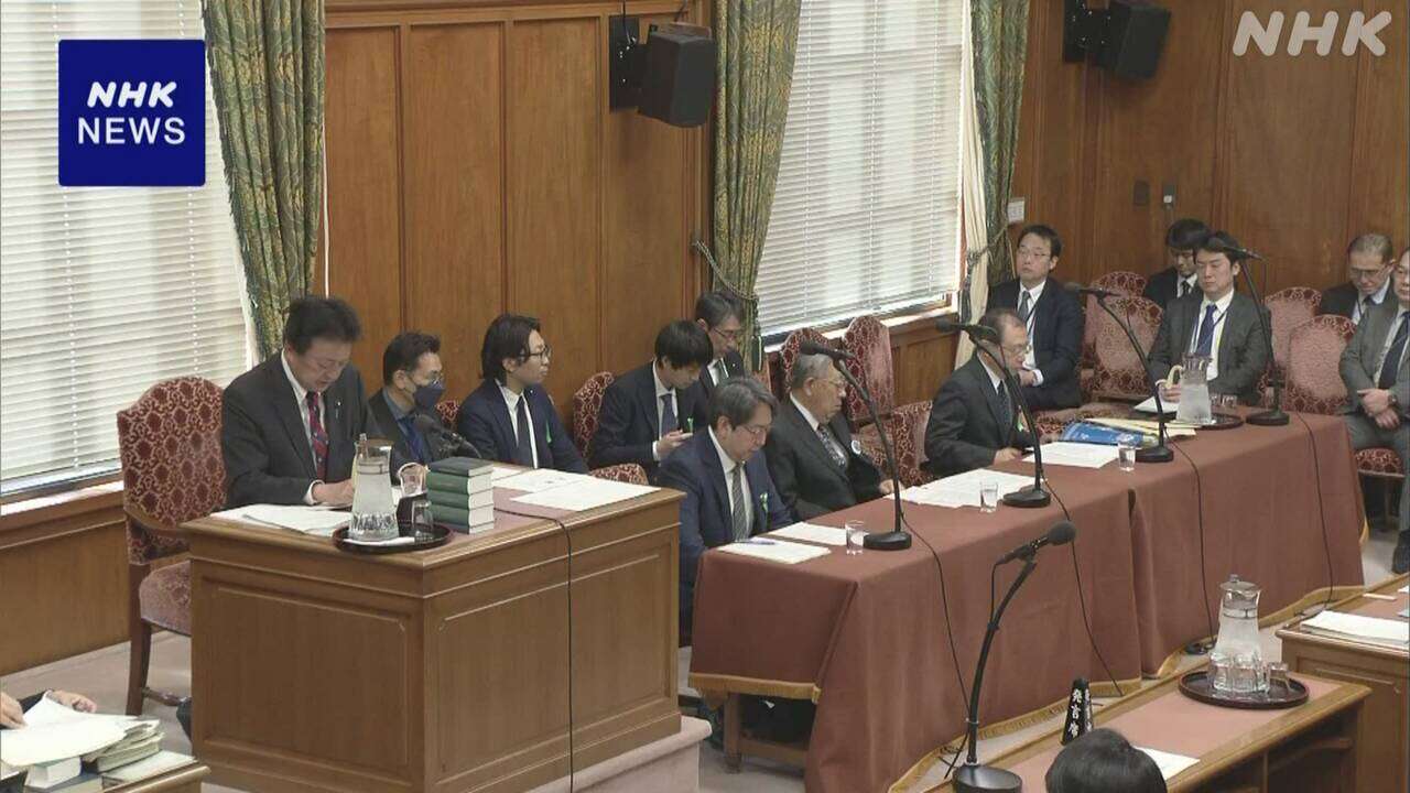 公職選挙法改正案 参考人質疑 “2馬力”防止への意見出される