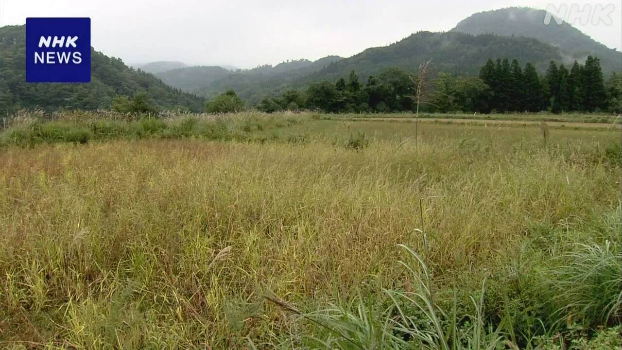 “全国の農地の30％余で10年後の担い手決まらず” 農水省