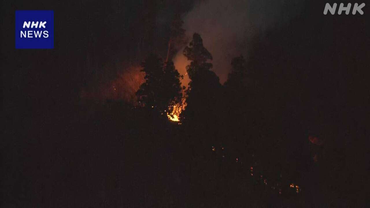 岩手 大船渡で山林火災 延焼続く 20日朝から消火活動再開へ