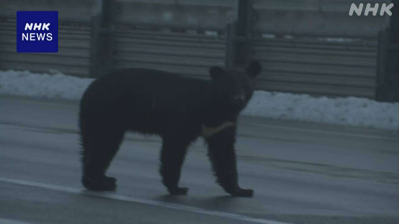 秋田 クマの目撃相次ぐ 住宅など集まった地域に近い場所で