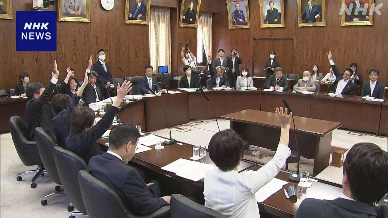 子ども・子育て支援法など改正案 参院内閣委で可決