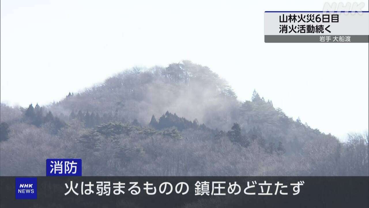 岩手 大船渡 山林火災 鎮圧めどたたず 周辺住民に警戒呼びかけ