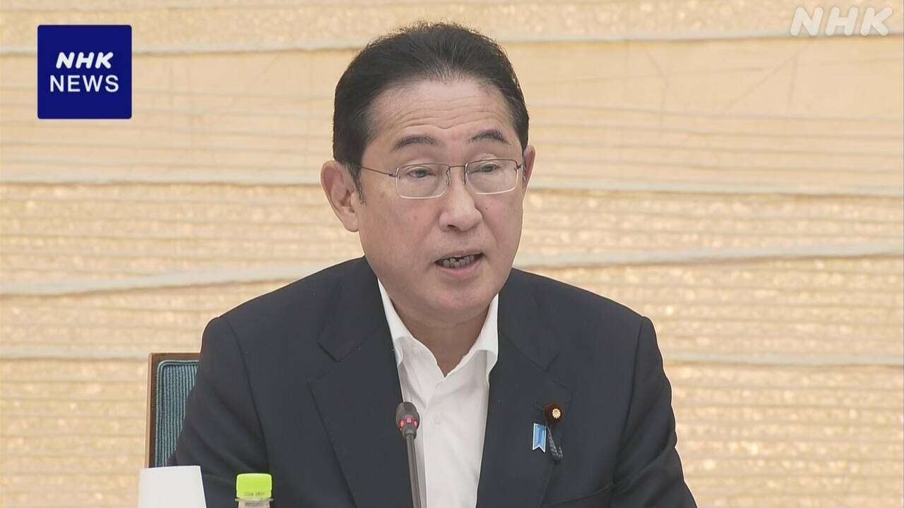 新薬開発力強化へ 首相“価値100億円以上の企業 10社以上に”