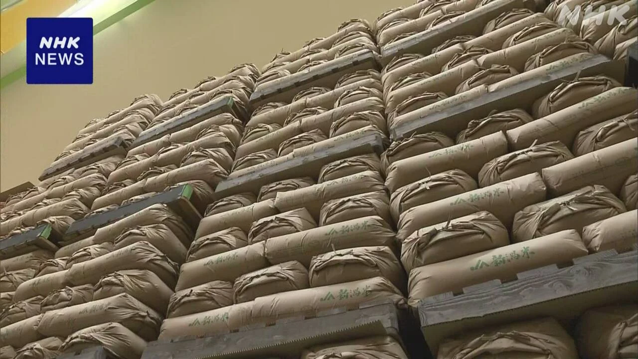 備蓄米 随意契約での売り渡し 農水省 きょう詳細を公表