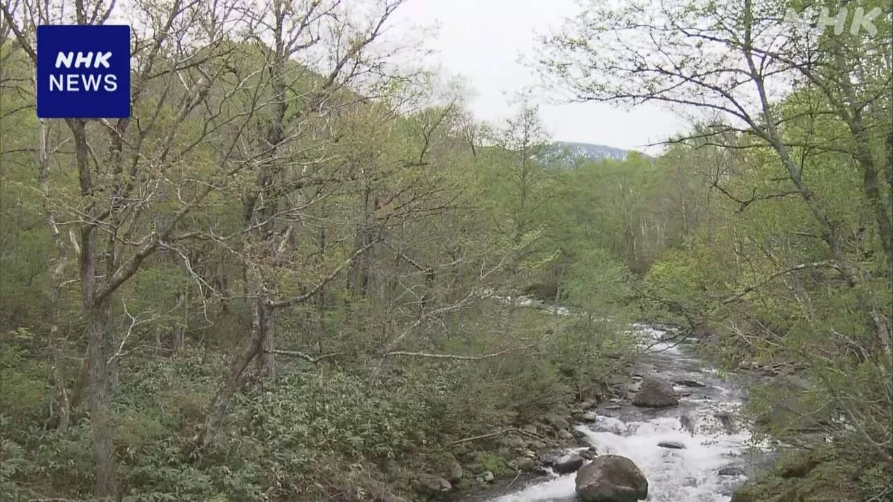 長野 山菜採りで群馬の男性2人不明 遺体で発見か