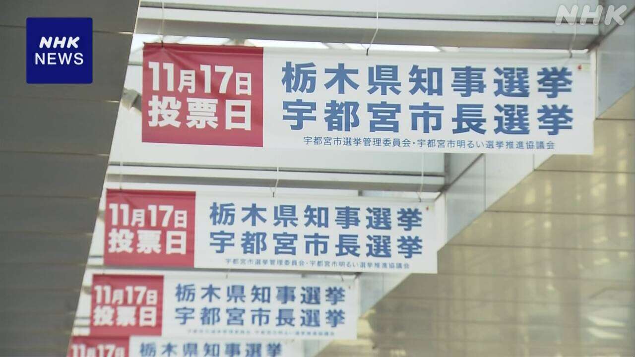 栃木県知事選挙と宇都宮市長選挙 きょう投票