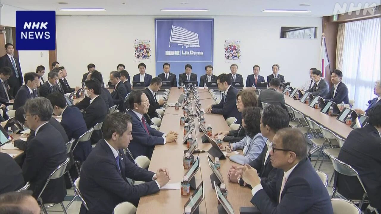 米関税措置 “すべての措置撤廃に向け交渉を” 自民対策本部