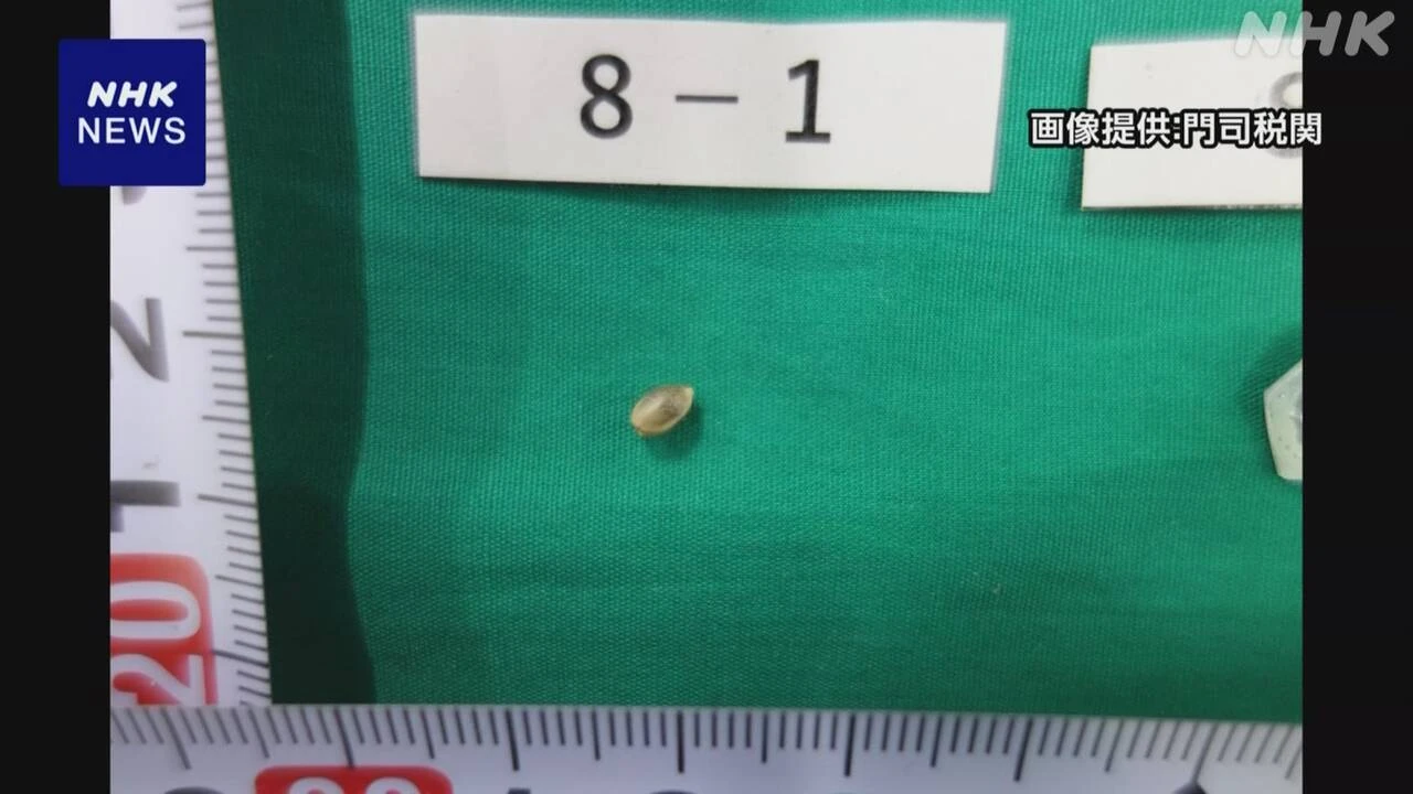 タイから大麻草の種を密輸した疑いで福岡県の会社役員を逮捕
