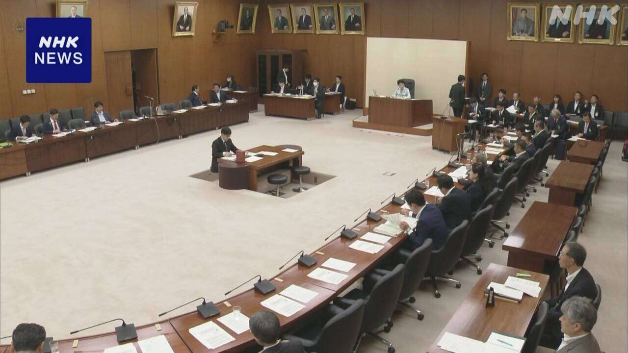 地方自治法の改正案をめぐり衆院総務委で参考人質疑