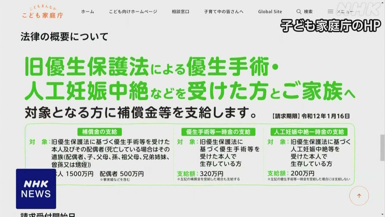 旧優生保護法 新たな補償を周知へ特設サイト開設 こども家庭庁