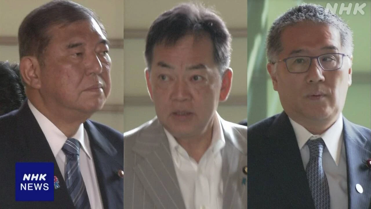 除染土最終処分 首相 “ロードマップ着実に” 関係閣僚に指示