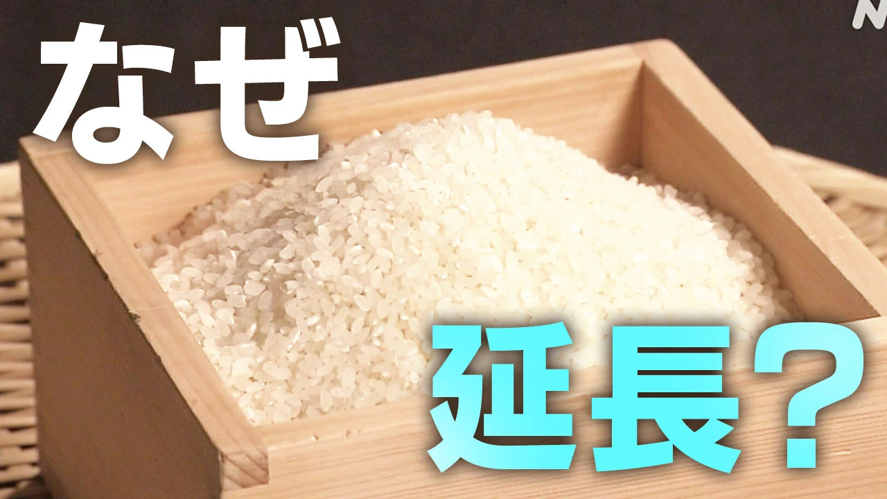 随意契約の備蓄米 販売期限なぜ延長?【Q＆A】