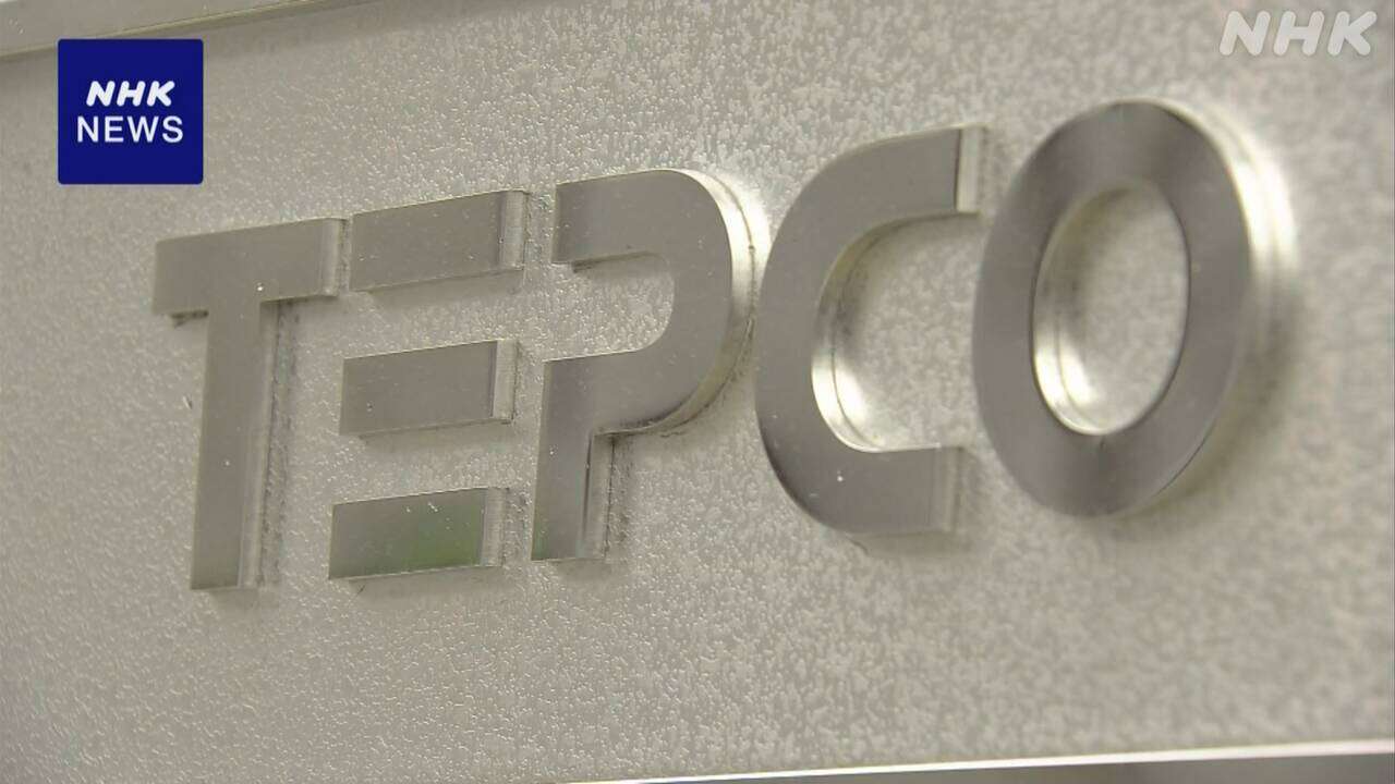 東京電力HD 長期の事業計画策定を見送り ことし夏以降に