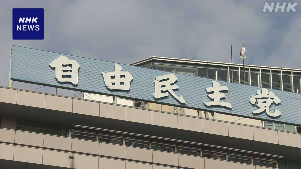 自民 公選法改正案付則 “2馬力”念頭 必要な措置講じる規定を