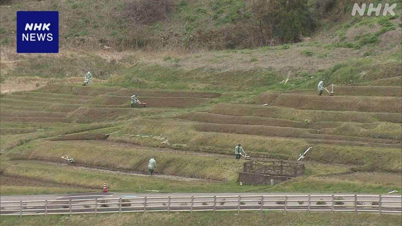 石川 輪島 「白米千枚田」で田起こし 被害が少なかった一部で