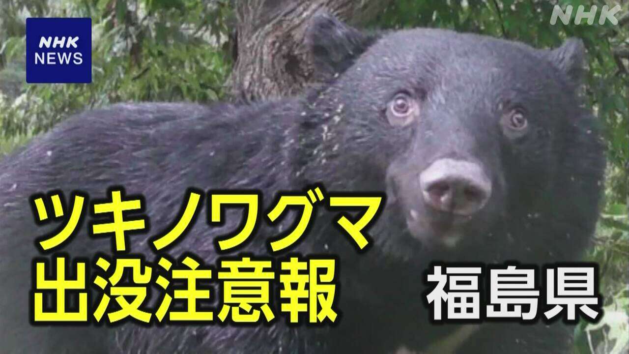 福島「ツキノワグマ出没注意報」県内全域に発令 対策呼びかけ