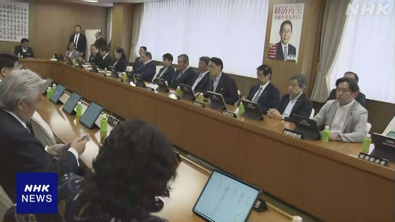 自民 政治資金規正法の改正案を決定 単独で提出へ