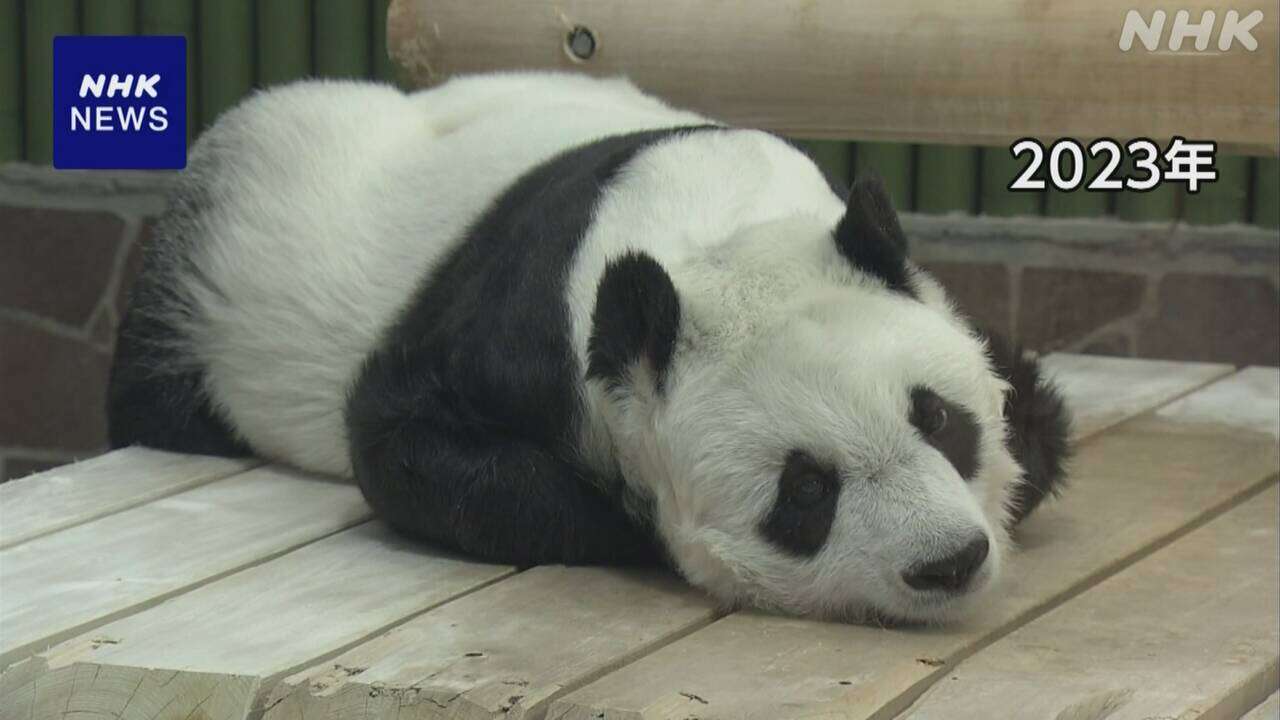 国内最高齢 メスのパンダ「タンタン」死ぬ 神戸 王子動物園