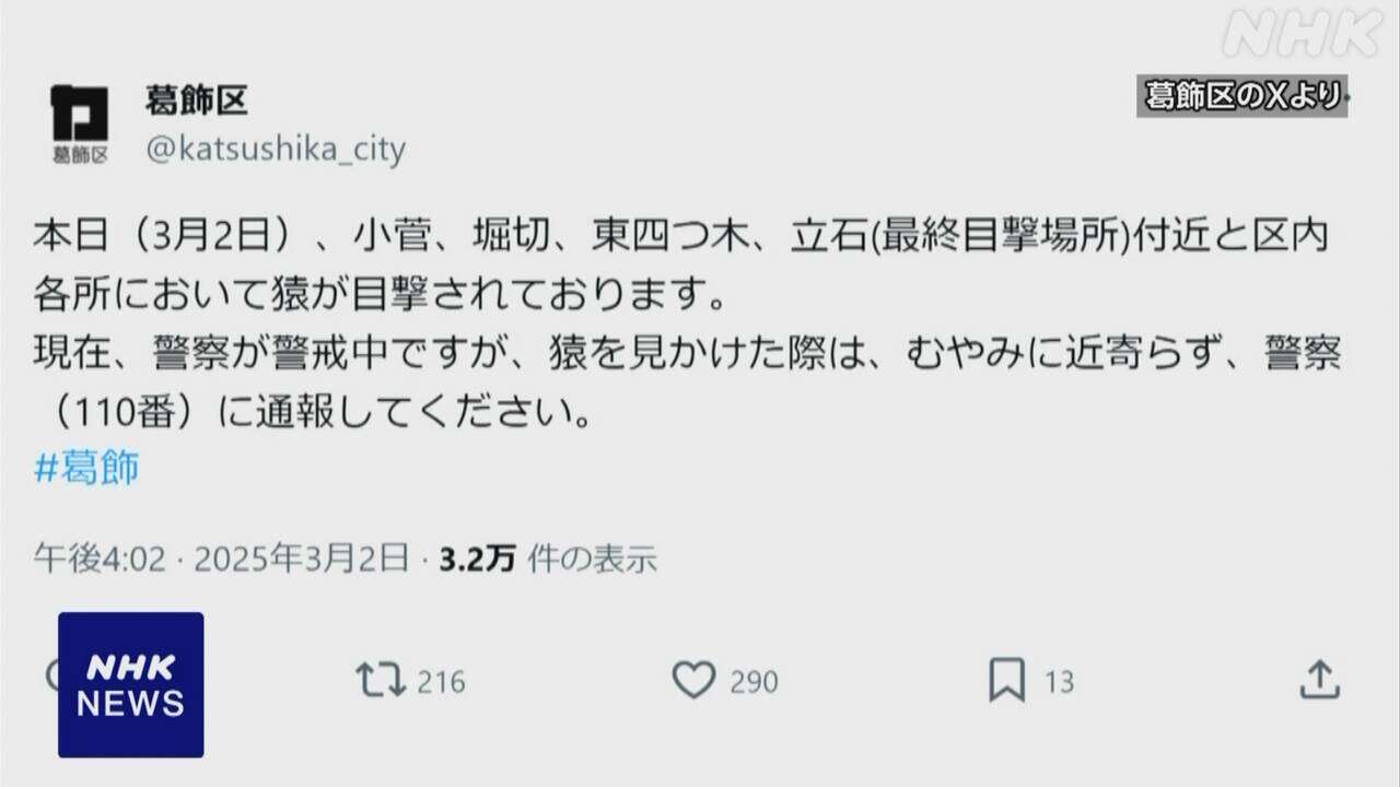 東京 葛飾区 サル目撃情報20件以上に “近寄らないよう注意”