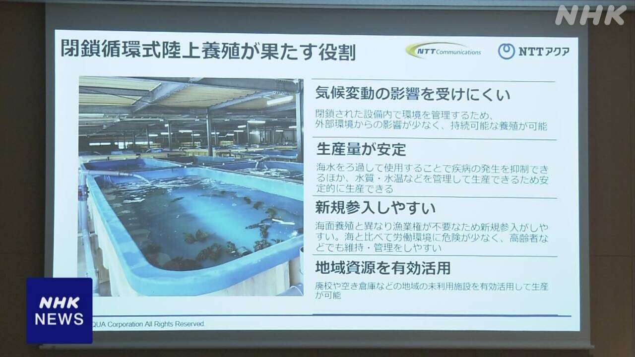 先端技術活用の陸上養殖システムを開発 外部事業者に販売へ