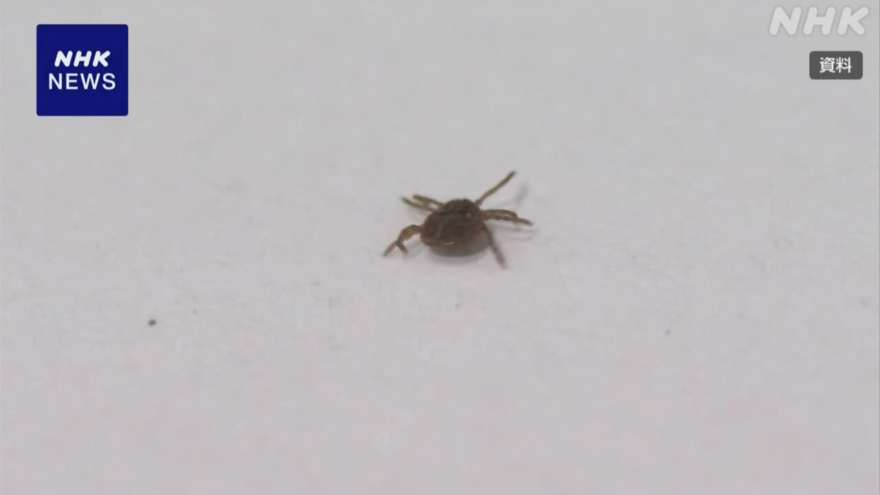 マダニ媒介の感染症 SFTS「命に関わる危険」獣医師が呼びかけ