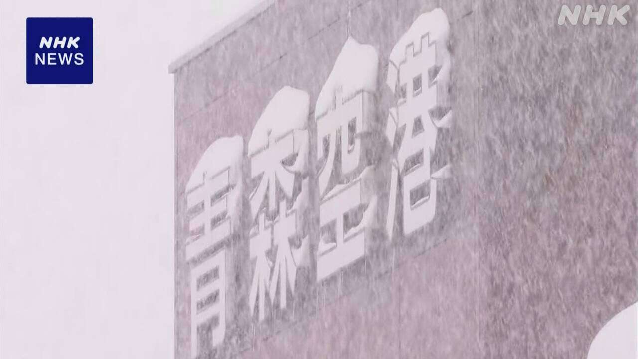 青森空港 大雪の影響で欠航や遅れ 近くで起きた倒木で停電も