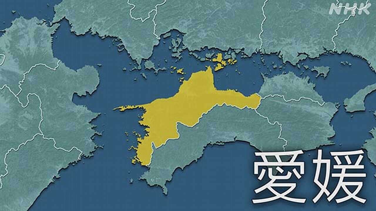 愛媛 上島町 岩城島 帰省中の5歳男児が海で見つかり死亡