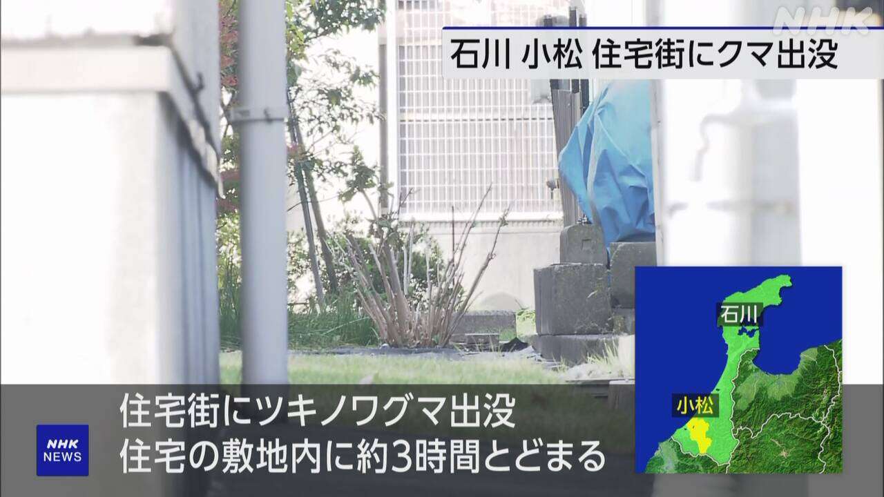 石川 小松 住宅街にクマ出没 約3時間とどまり駆除 けが人なし