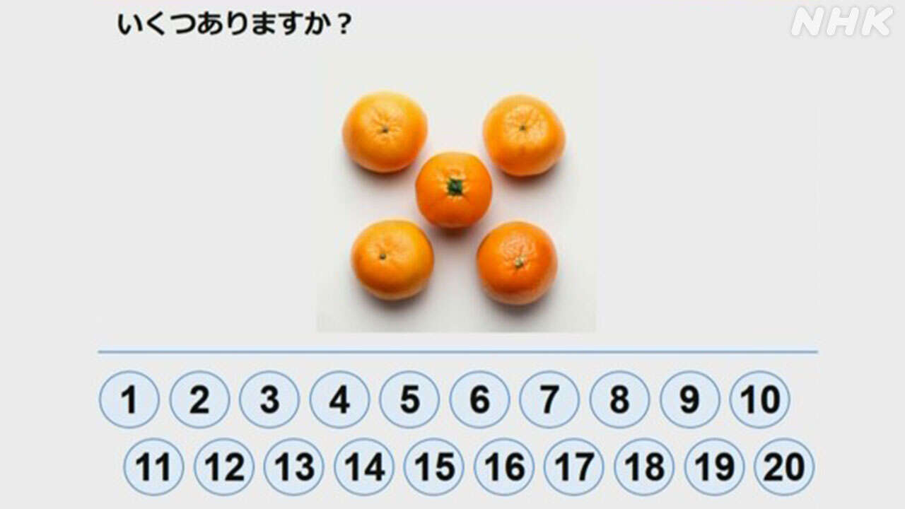 あなたは解ける？「国際成人力調査」日本“世界トップレベル”