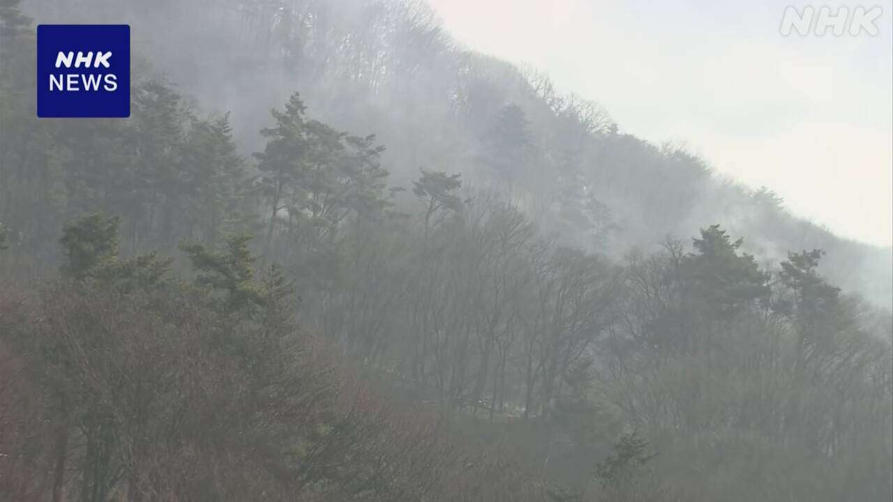 山梨 甲府と笛吹にまたがる大蔵経寺山で発生の山火事 延焼続く