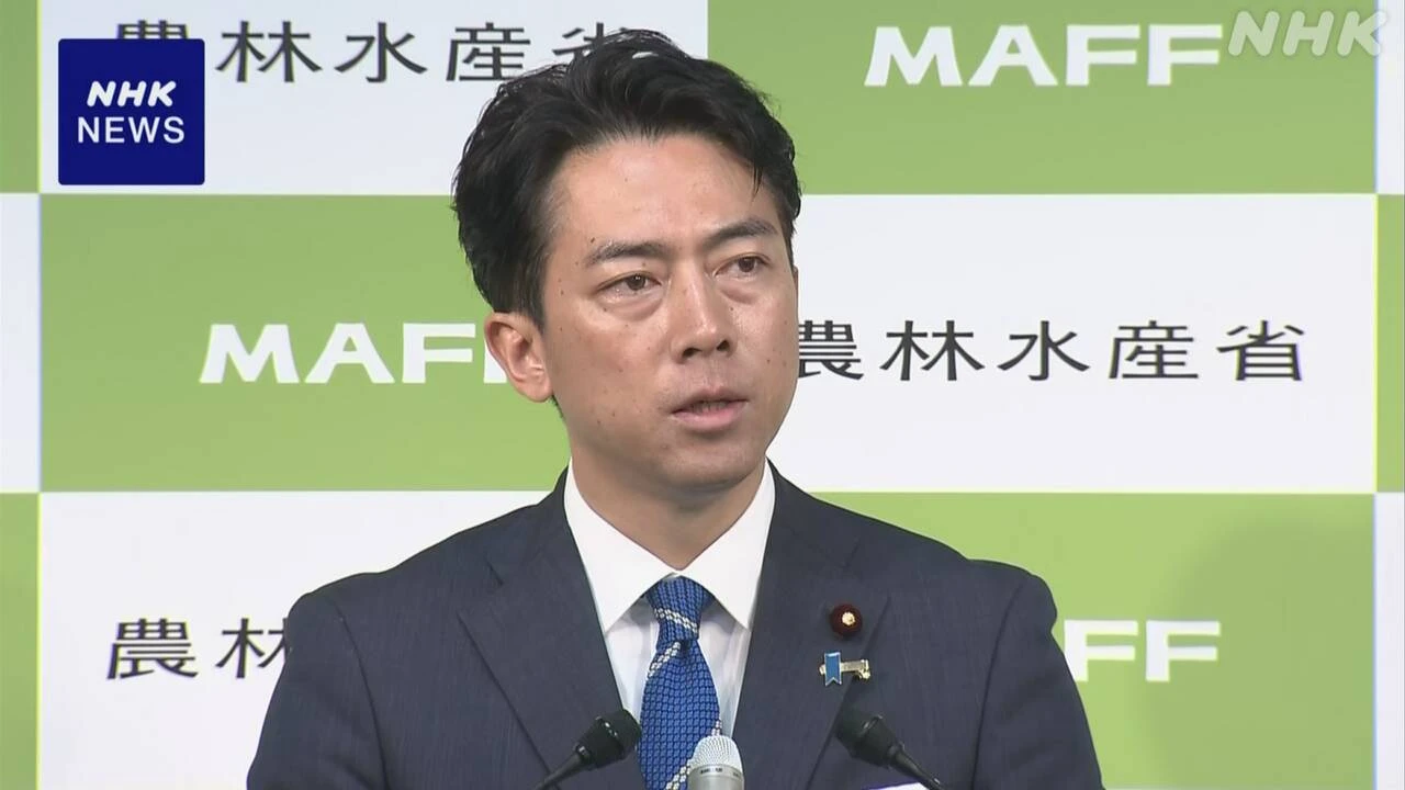 小泉農相 コメ流通の実態 すべての事業者に報告求める方針