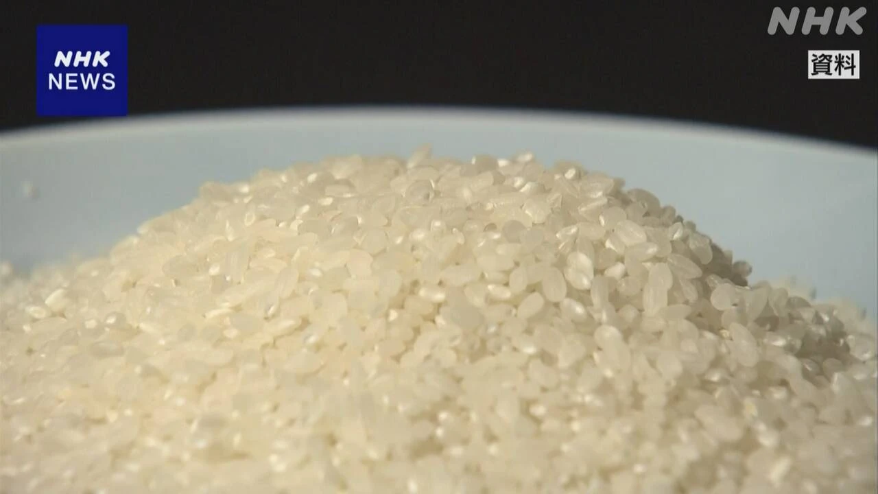 コメの輸入量が急拡大 高い関税でも採算が見込めると判断か