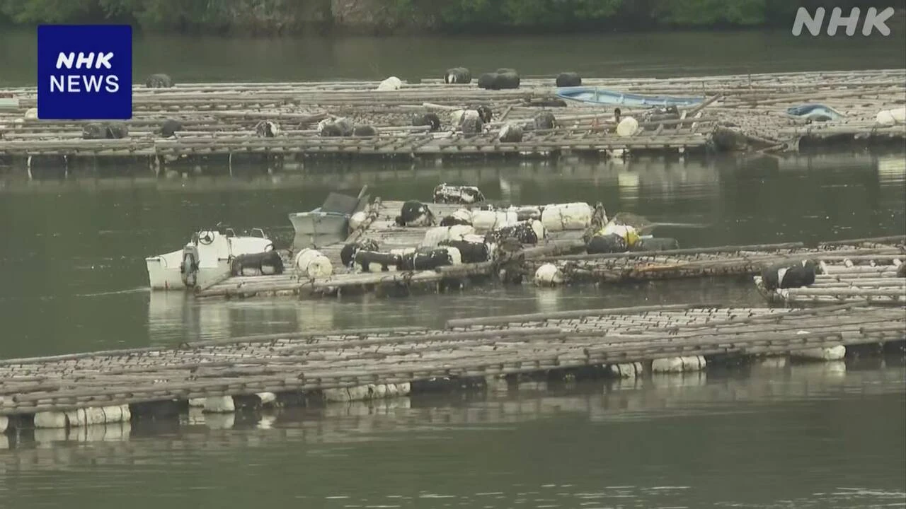 最大40cmの津波観測した三重 鳥羽 カキ養殖用のいかだ流される