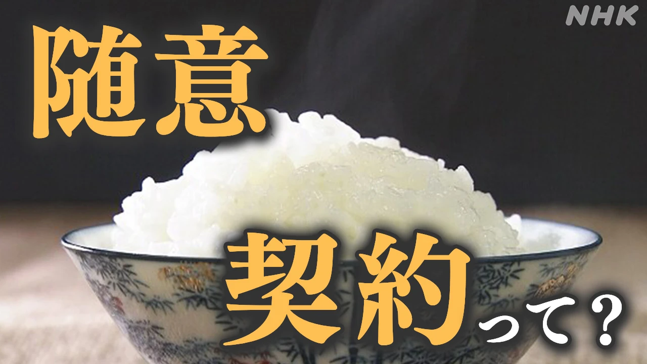 備蓄米「随意契約」とは? 「競争入札」との違いは?