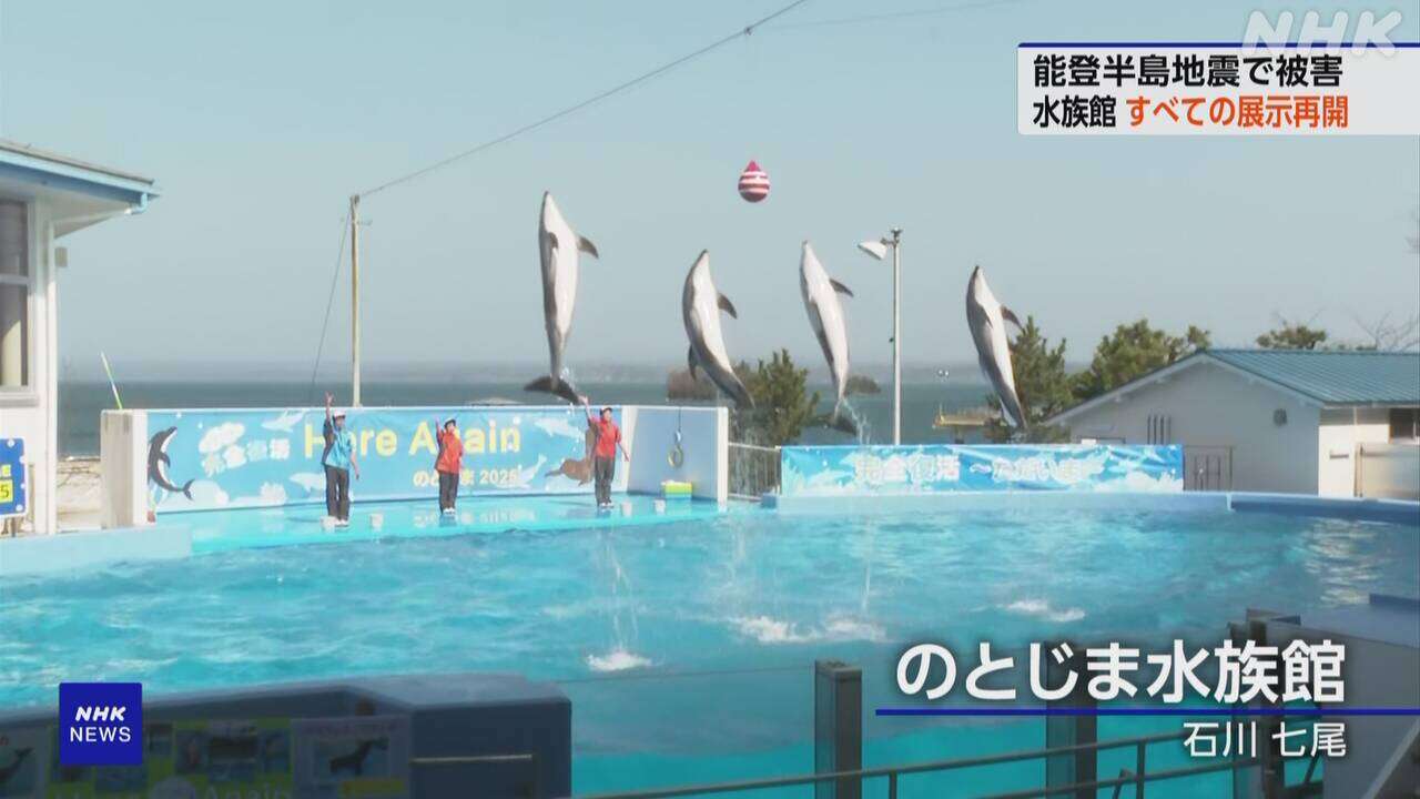 のとじま水族館 すべての展示が再開 能登半島地震で大きな被害