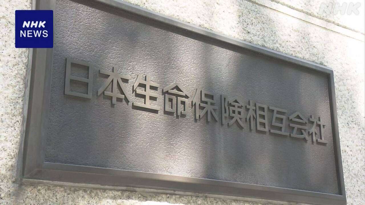 日本生命 欧米などで展開の外資企業 約1兆2000億円で買収発表