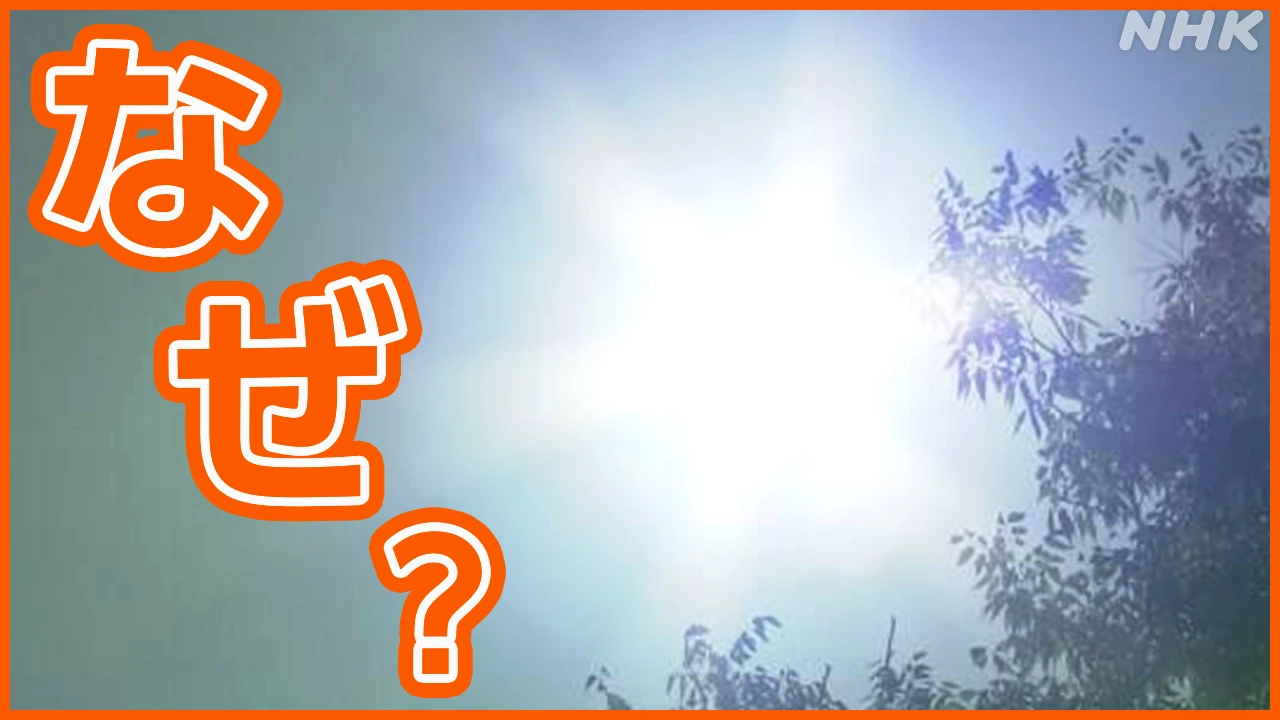 “最も暑い夏”と記録的大雨… 要因は？ 専門家の検討会が分析
