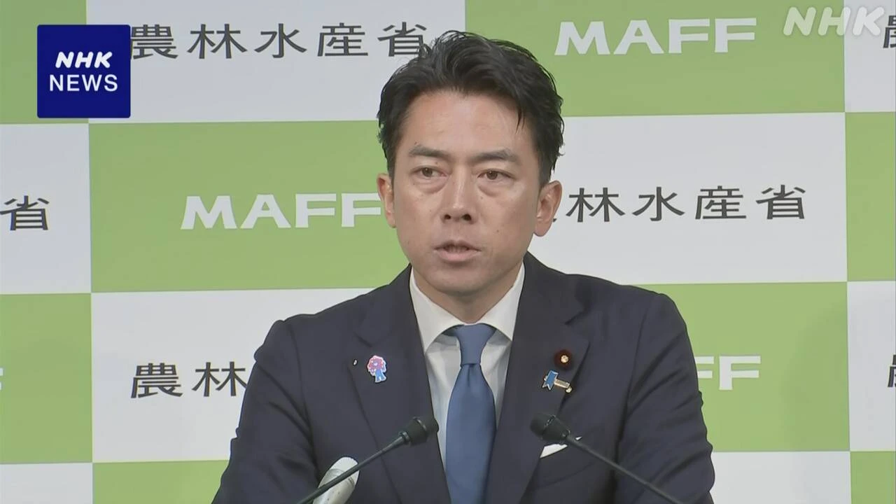 小泉農相 ”コメ輸入 総量は増えない” 米大統領令めぐり