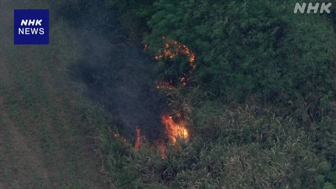 埼玉 本庄 利根川河川敷で枯れ草が焼ける火事 消火活動続く