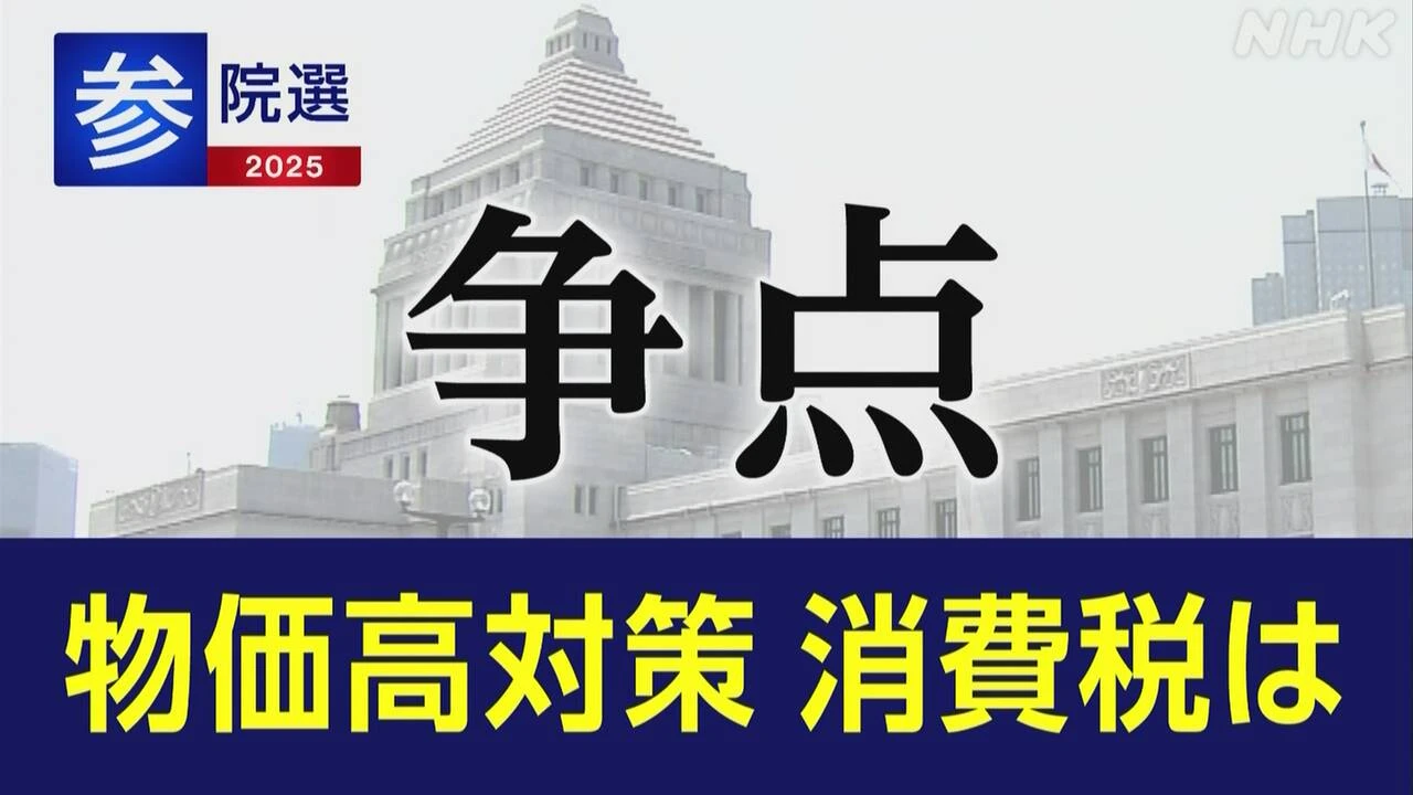 参院選 政党 政策アンケート 「消費税」