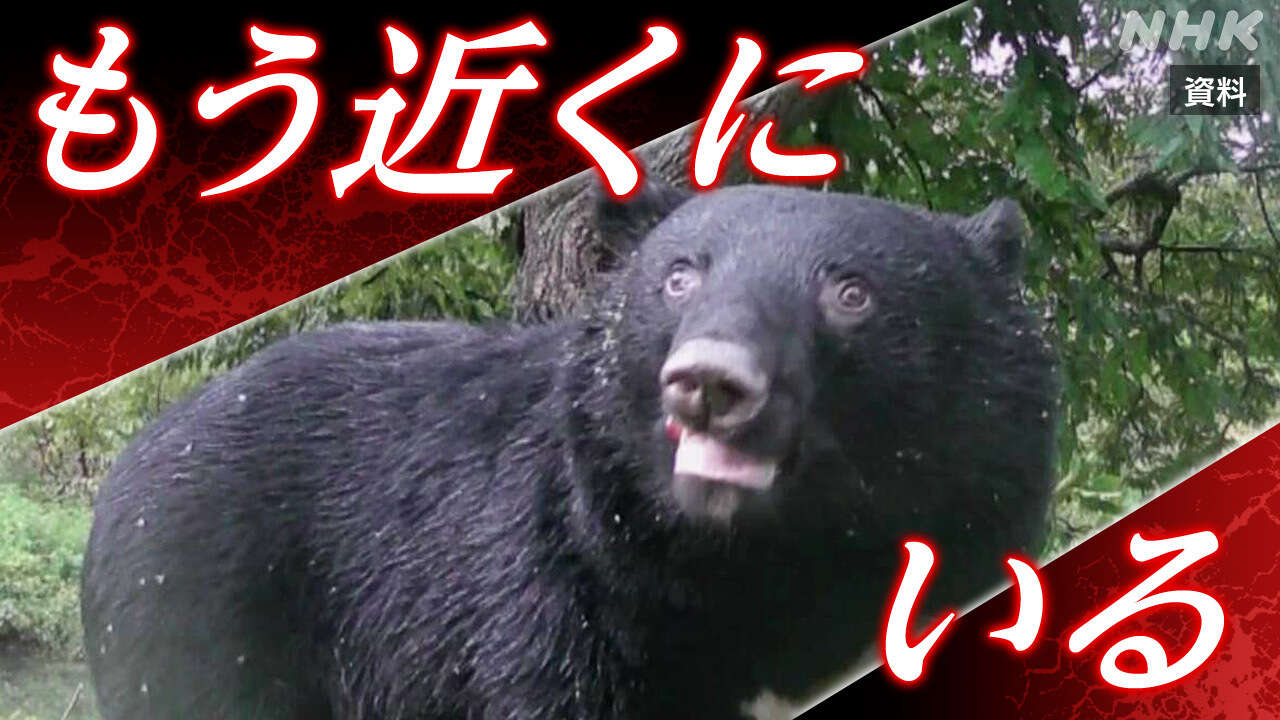 「こんなところで…」クマ目撃マップ分析 すでに市街地周辺に