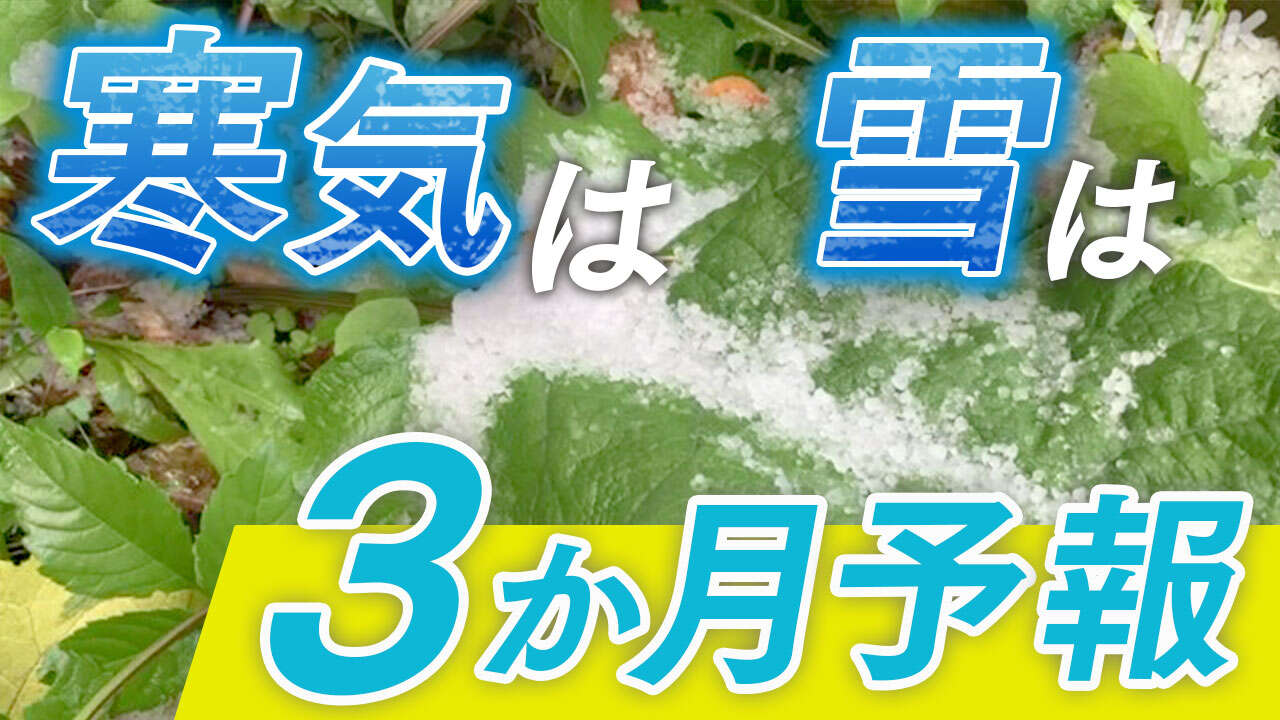 気象庁3か月予報 11月は平均気温高いも “冬らしい冬になる”